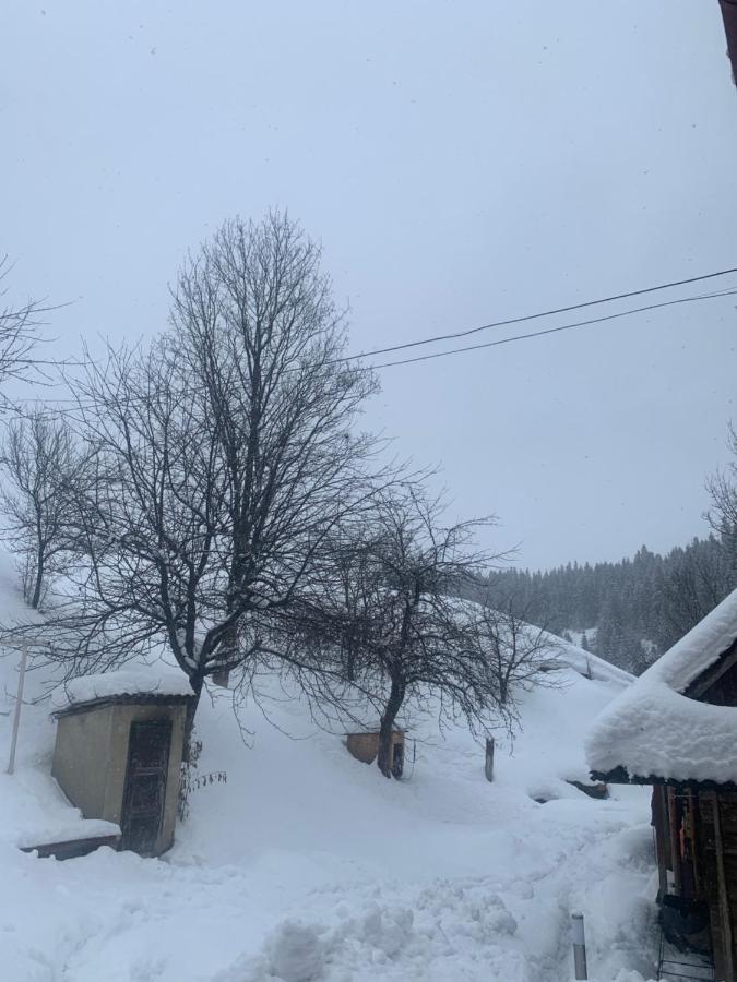 Cottage house ポドボホツ エクステリア 写真
