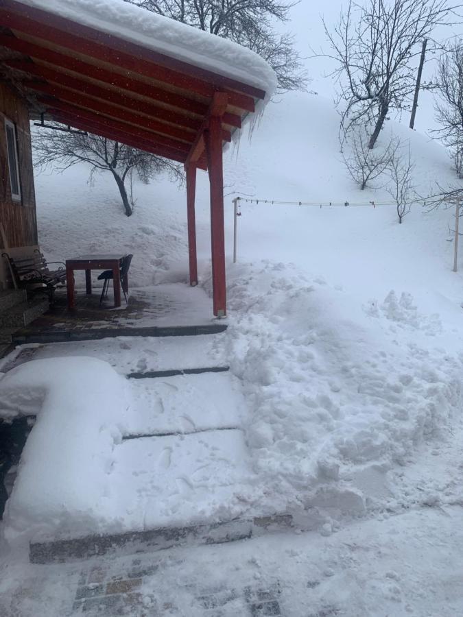 Cottage house ポドボホツ エクステリア 写真