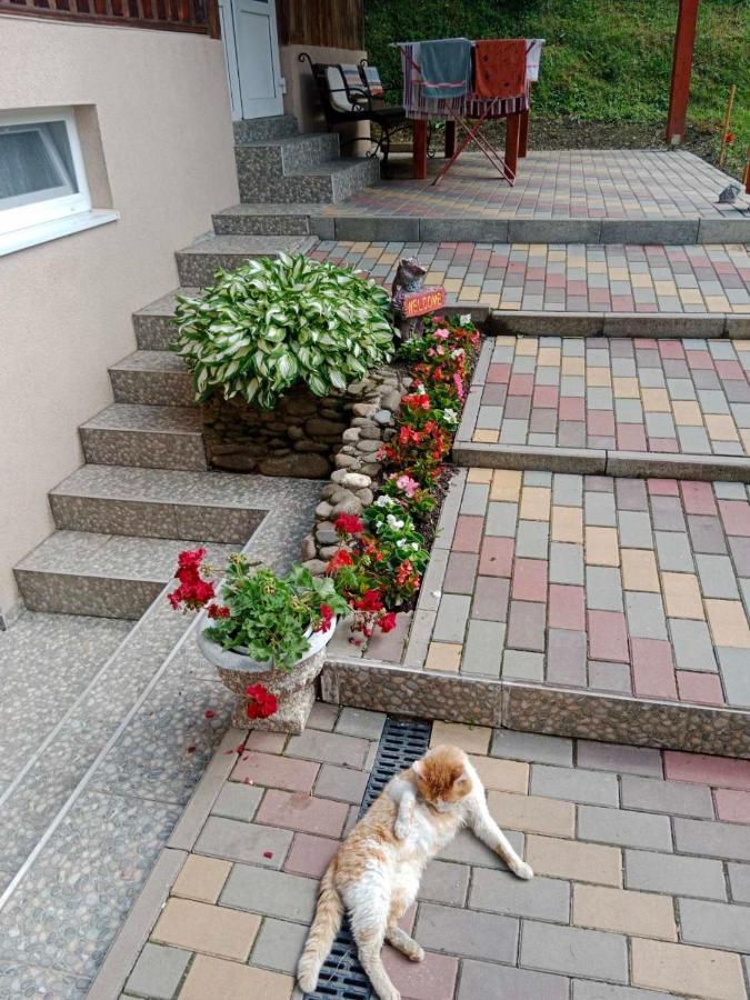 Cottage house ポドボホツ エクステリア 写真